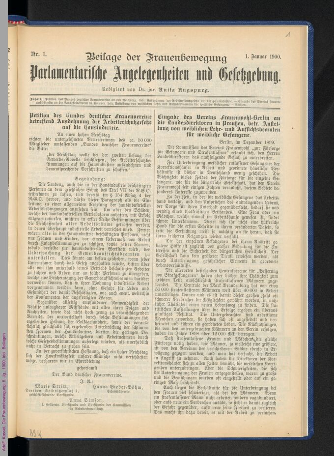 Die Frauenbewegung (6.1900,1-24) / Seite 203