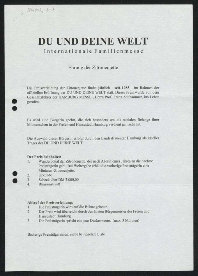 Kurzer erläuternder Text zur Zitronenjette, 1994 / Seite 3