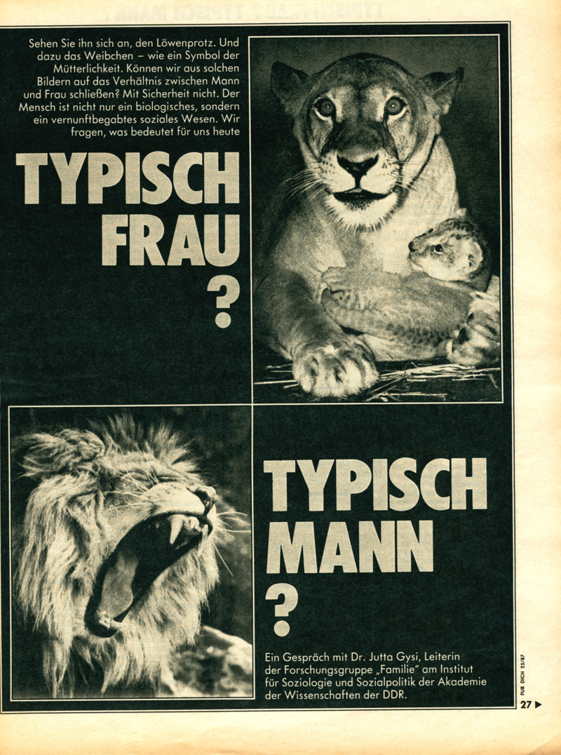 Für Dich - Zeitschriftenartikel 1980 - 1988